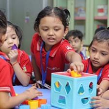 Cognitive Development